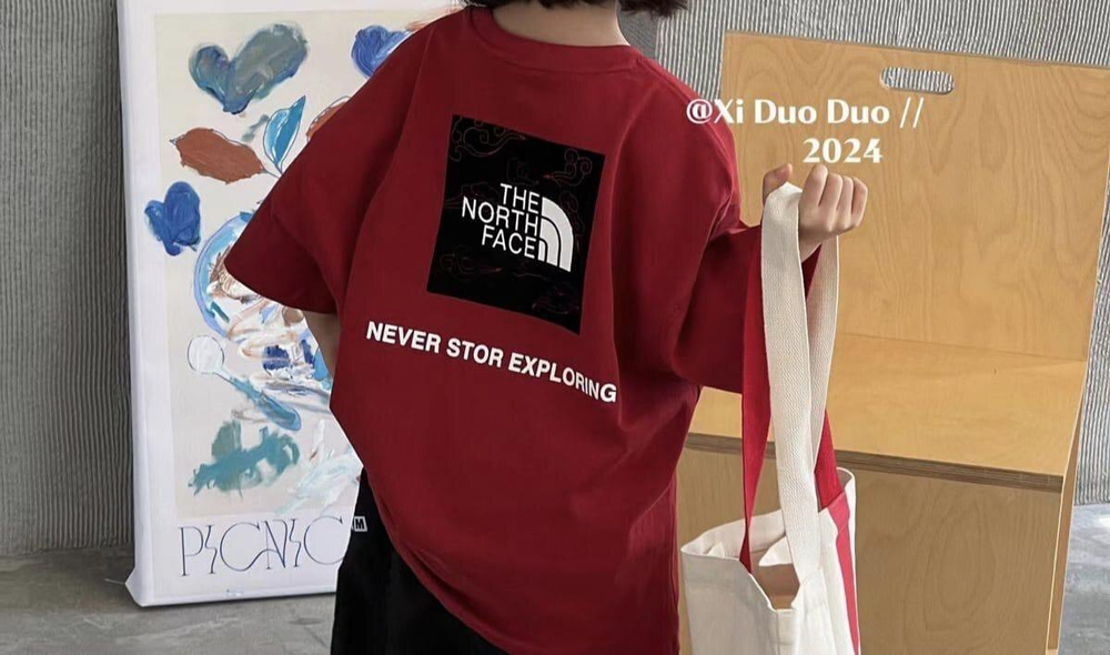 Футболка The North Face
