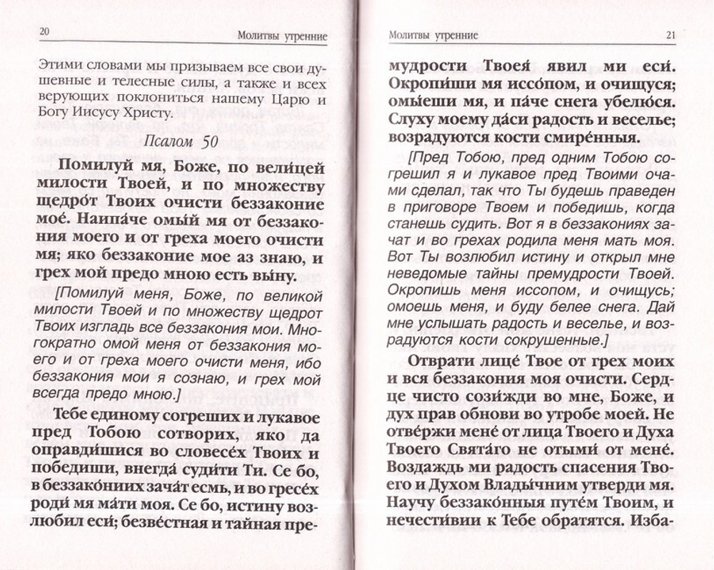 Молитвослов для новоначальных. Перевод и объяснение утренних и вечерних молитв, канонов и правила ко Святому Причащению