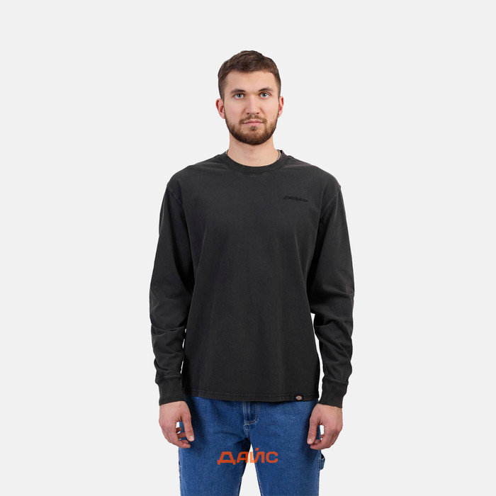 Лонгслив мужской Dickies Plentywood артикул:DK0A866CH861 - купить в магазине Дайс