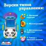 Семейная электрическая лодка-катамаран «Панда» , 2+1