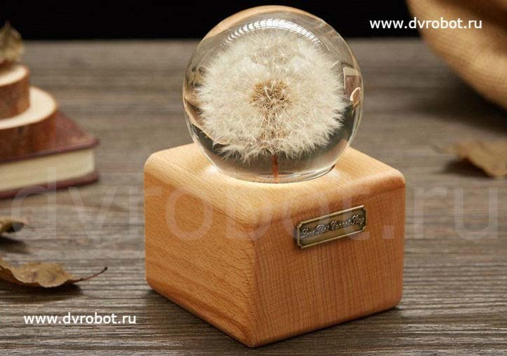 Шкатулка Sankyo "Бесконечная любовь"