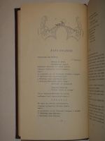 "Посолонь". Алексей Ремизов. 1907г.