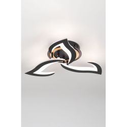 Светильник потолочный светодиодный Rivoli Cassandra 6194-703 LED 3000-6250К 42 Вт с пультом | Интерьерные светодиодные светильники