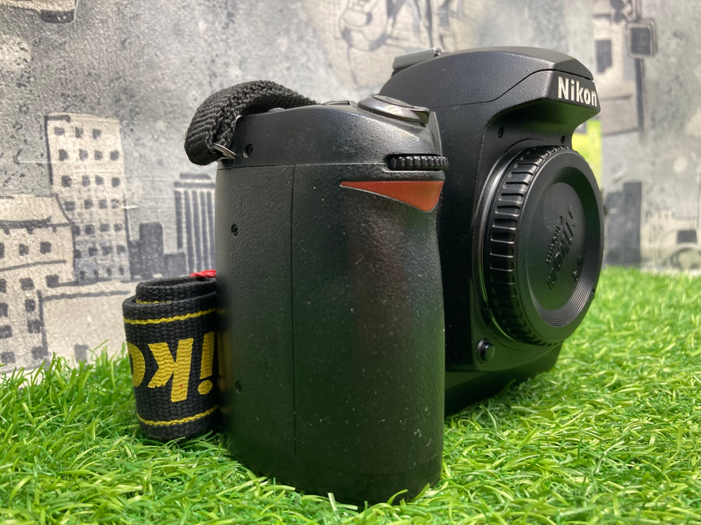 Nikon D70s 25.000 кадров