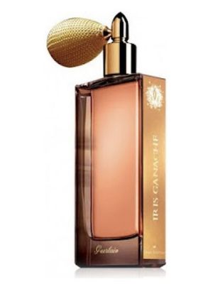 Guerlain Iris Ganache