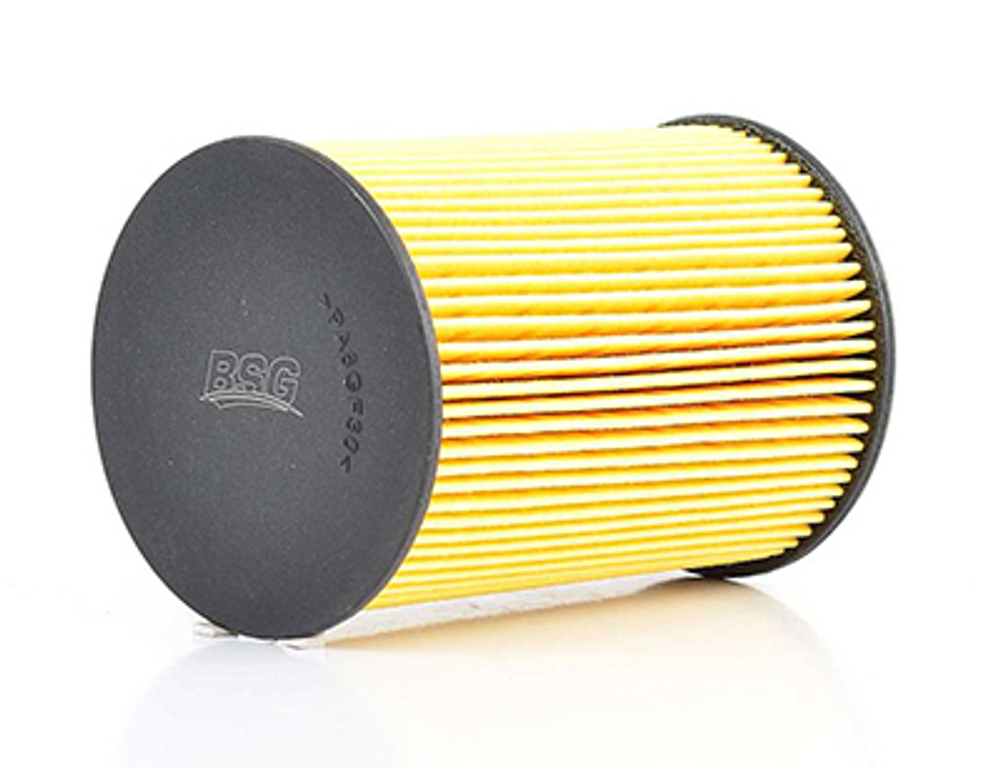 BSG - BSG90130005-BSG - Fuel Filter