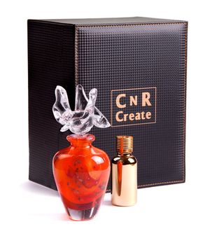 CnR Create Fire Aries