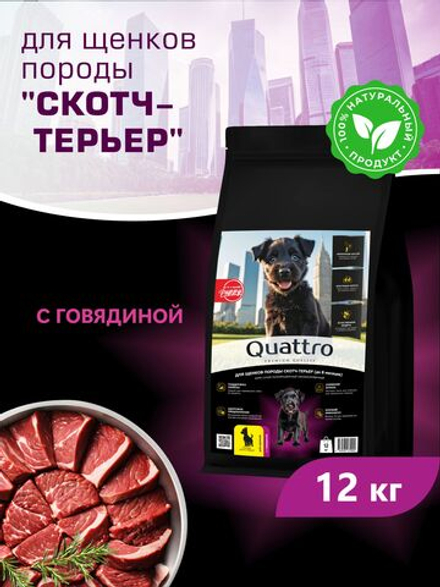 Корм сухой для щенков породы Скотч-терьер, с говядиной, 12 кг, QUATTRO
