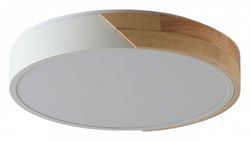 Накладной светильник Zortes Alberro ZRS.01289.36