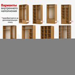 Шкаф-купе Ясмина 3 Белый 101  220*50*260