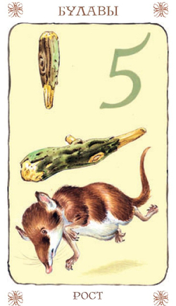 Таро Гномов (RUS)