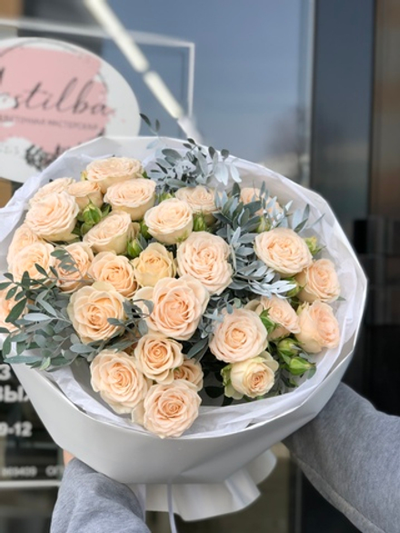 Софи кустовая