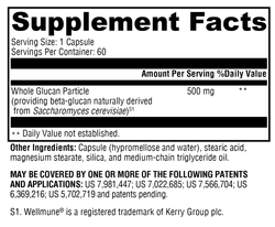 ImmunotiX 500™ 60 Capsules