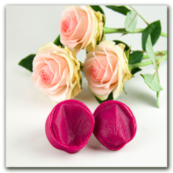 Лепестки розы Аваланж