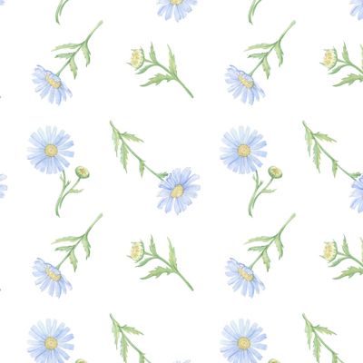 Милые ромашки на белом