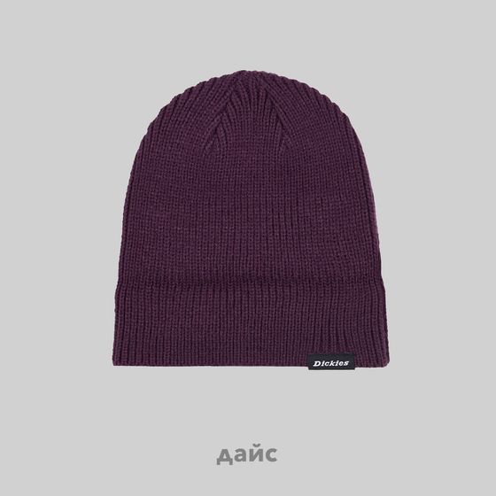 Шапка Dickies Woodworth Beanie артикул:DK0A4X7YJ561 - купить в магазине Дайс