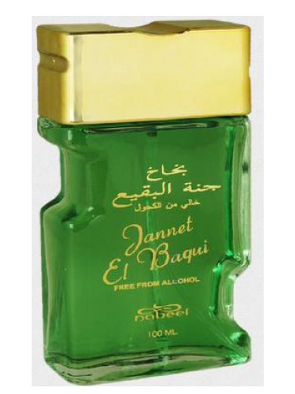 Nabeel Jannet El Baqui