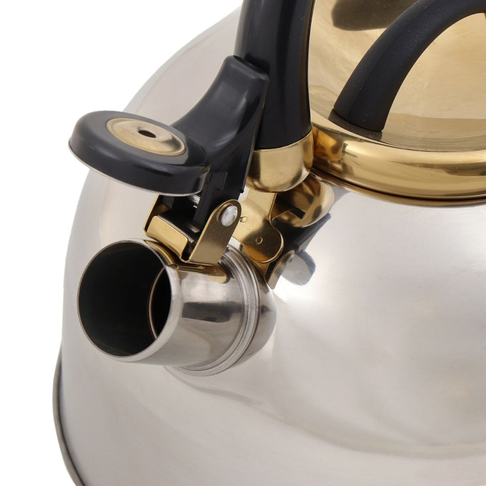 Чайник нерж, 3 л, свист, ручк бакелит, с силик покр, Daniks, Мадрид Голд, индукц, M-001PM