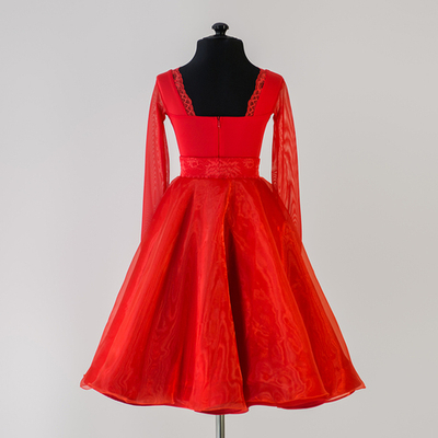 Amelia 11-01-01-A Пышное платье для спортивно-бальных танцев | Vasileva Dance