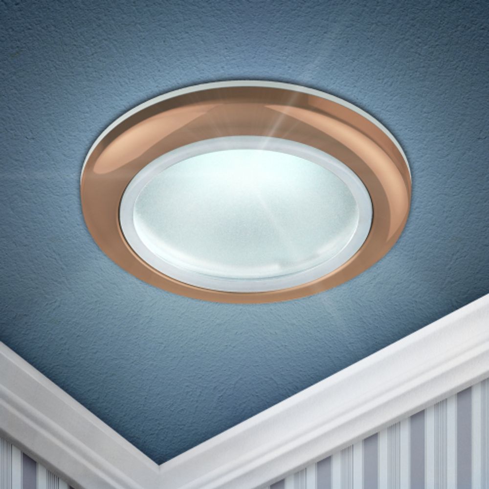 WR1 SC Светильник ЭРА влагозащищенный MR16,12V/220V, 50W медь