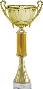 Кубок Викки