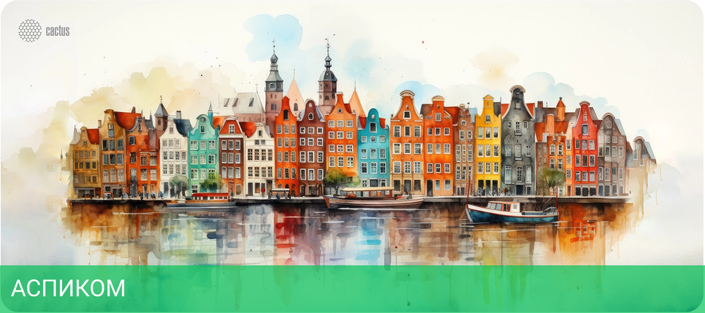 Коврик для мыши Cactus Amsterdam (CS-MP-PRO12XXL)