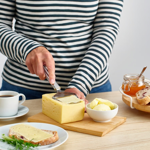 КОНКИС KONCIS Нож для сыра 23 см, нерж. сталь