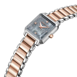 Cerruti Perugia CIWLG0074002