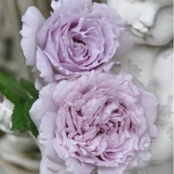 Люцифер (Lucifer)