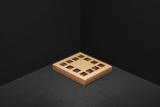 Упаковка с окнами для 16 шоколадных конфет