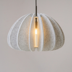 Подвесной светильник Maytoni MOD398PL-01S