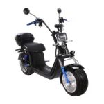 Электроскутер Citycoco Trike GT Mini X3