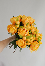 Бутон пиона / Арт 2462