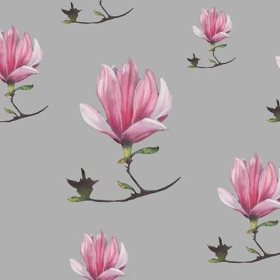Магнолии на теплом сером фоне