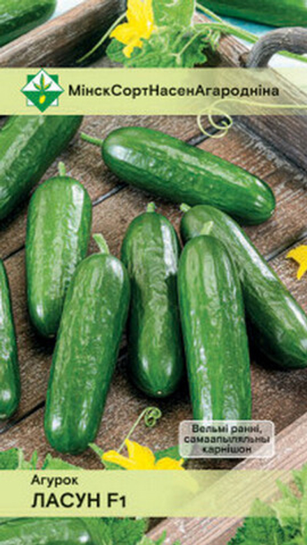 Огурец "Лакомка F1" 7шт, Германия.
