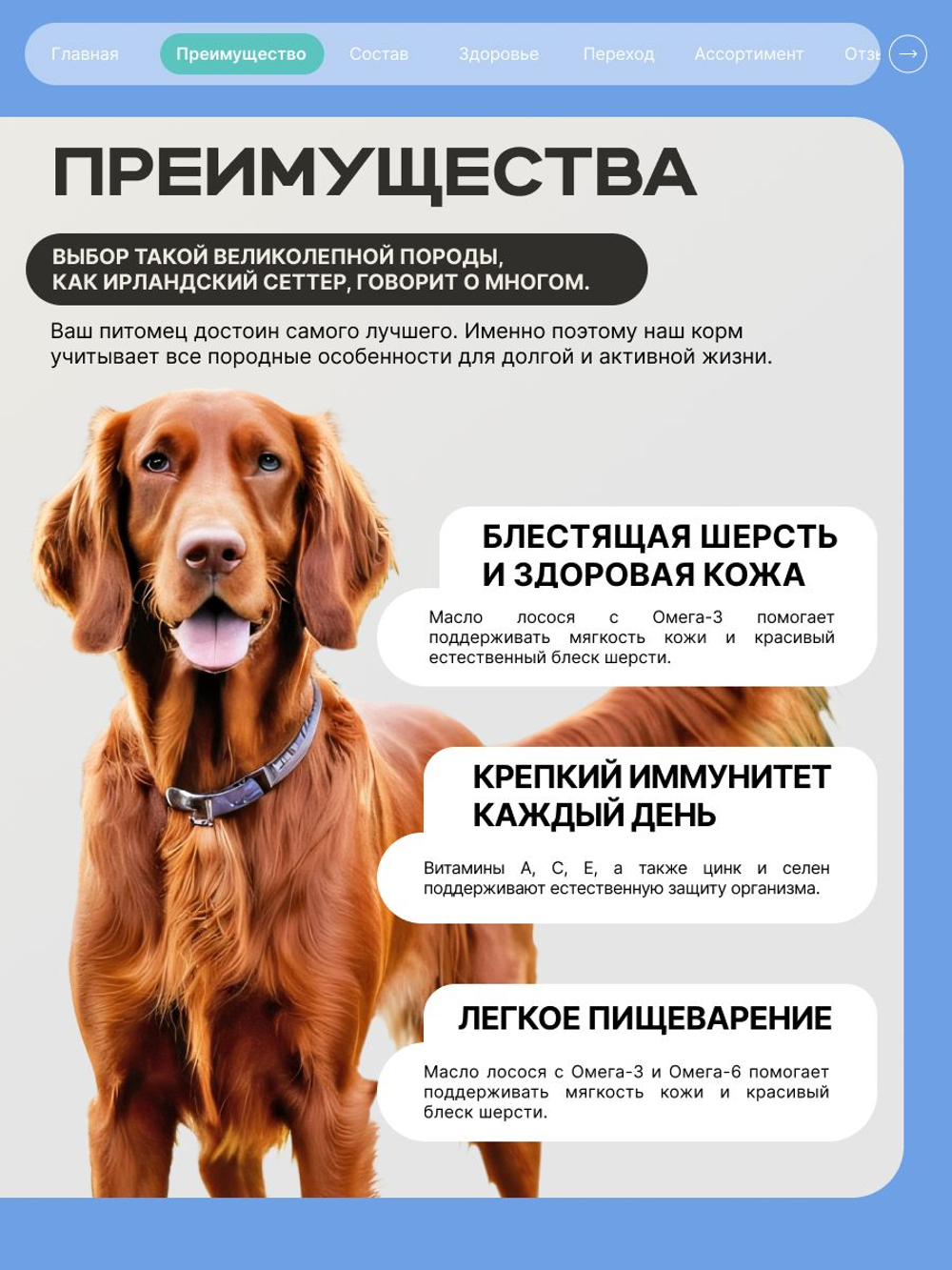 Корм для взрослых собак породы Ирландский сеттер, с кроликом, 12 кг, QUATTRO