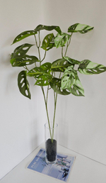 Монстера Адансона / Арт 4203