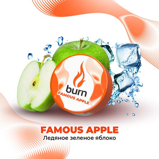 Burn (Famous Apple), 25 гр.