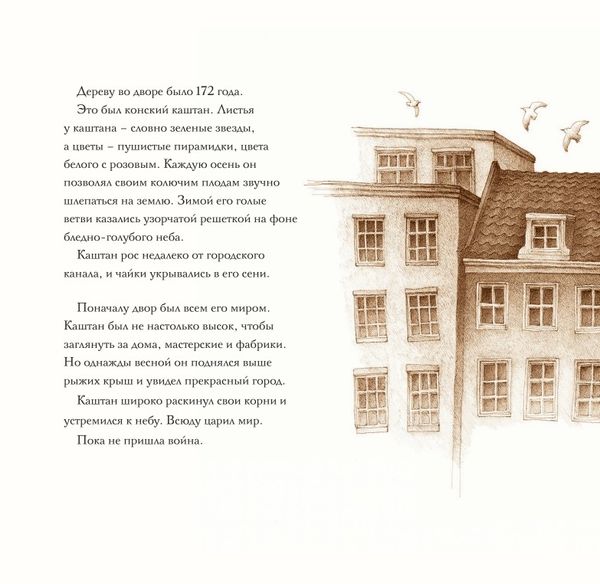 Дерево во дворе. Взгляд из окна Анны Франк