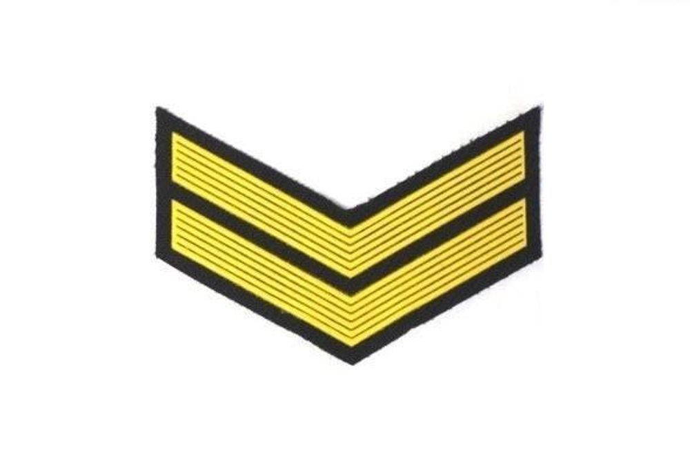 Курсовка пластизол. 2 курс