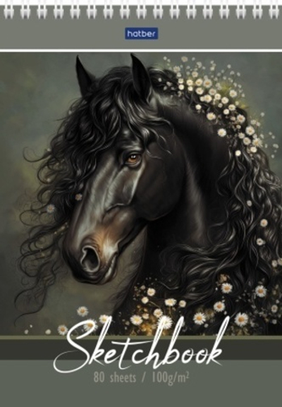 "Premium" Блокнот SketchBook 80л А5ф 100г/кв.м без линовки твердая подложка на гребне-Вороная грация