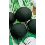 Семена Редька Зимняя круглая черная (Марс) Б/П