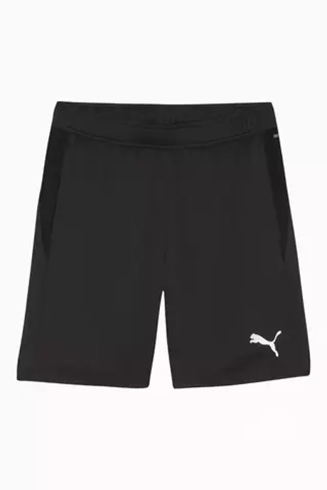 Шорты Puma teamGOAL Training