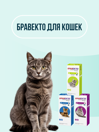 Бравекто для кошек