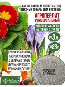 Луковичный цветок калла, 2 шт. Голландия