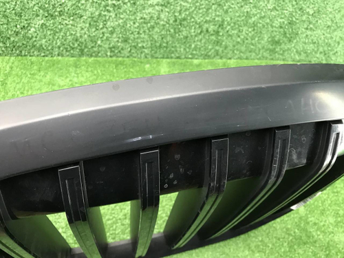 Решетка радиатора BMW X7 G07 (2022-н.в.)