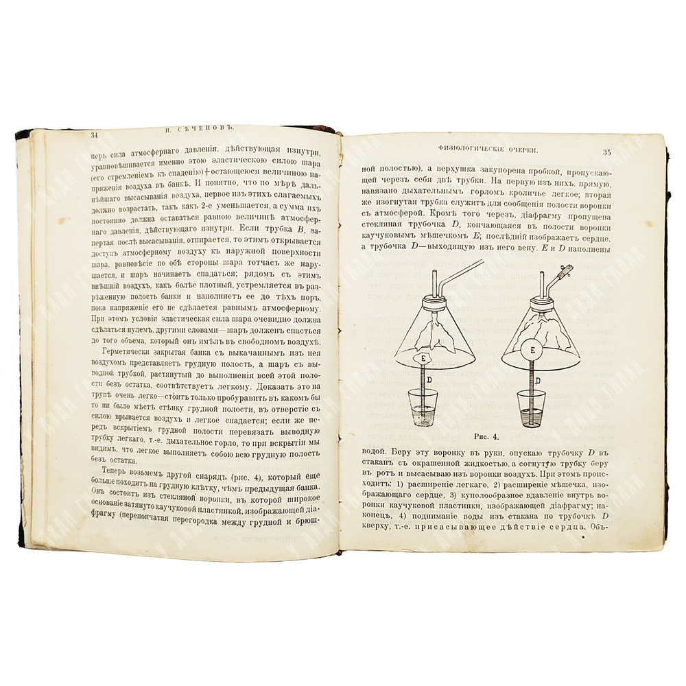 Сеченов И. М. Физиологические очерки. Конволют в 2.ч. № 8, № 9. СПб. Издание О. Н. Поповой. 1898