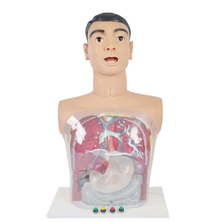 Фантом промывания желудка