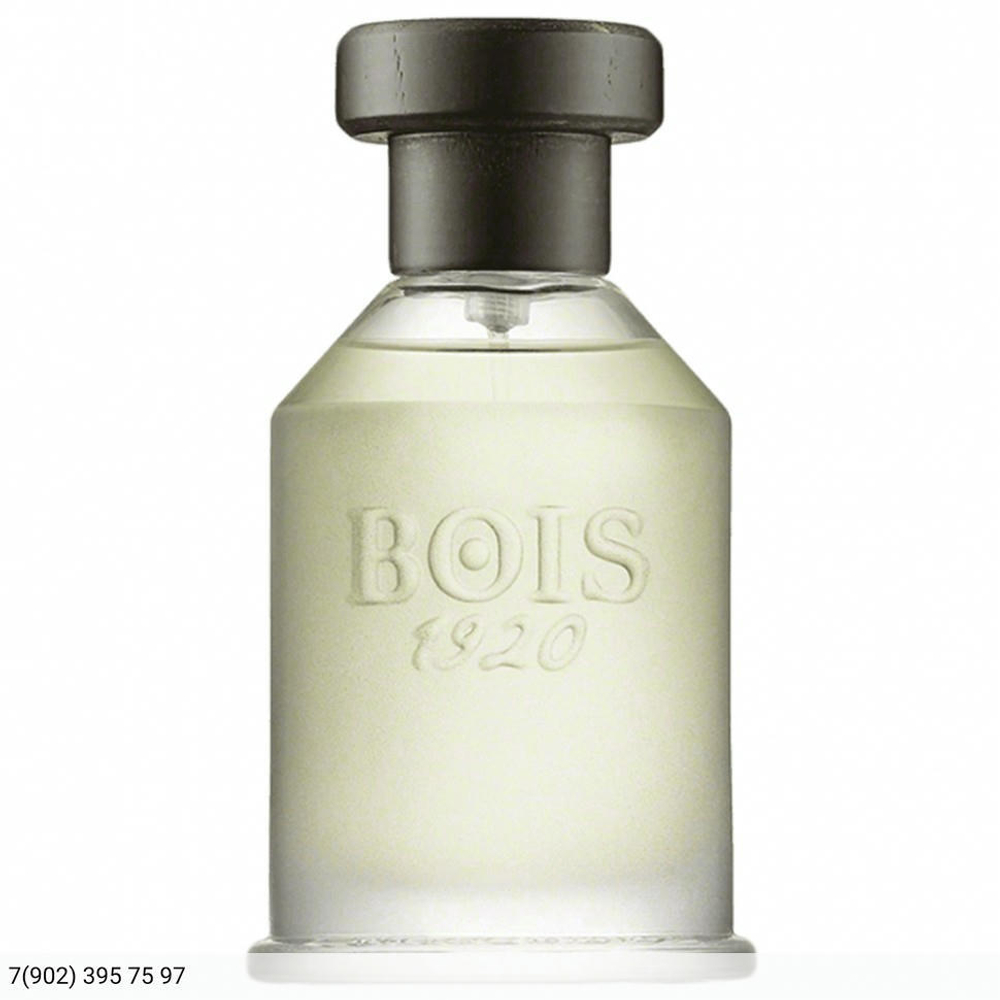 Bois 1920 Parana