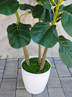 Искусственное растение Фикус Лирата зеленый 110см в кашпо